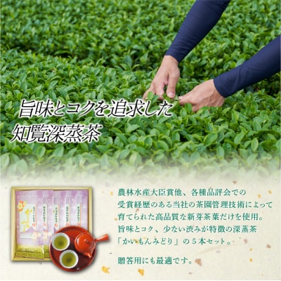 知覧銘茶　かいもんみどり5本セット