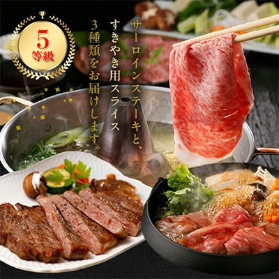 鹿児島黒牛サーロインステーキ4枚・すきやきセット【配送不可地域：離島】