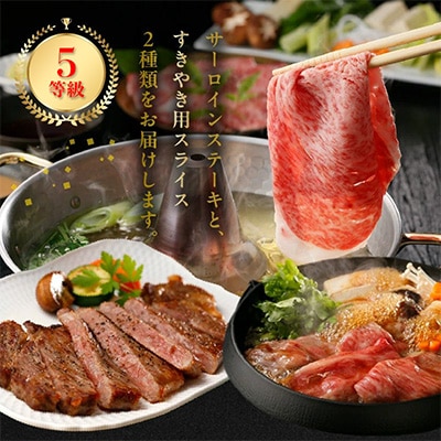 鹿児島黒牛サーロインステーキ2枚・すきやきセット【配送不可地域：離島】