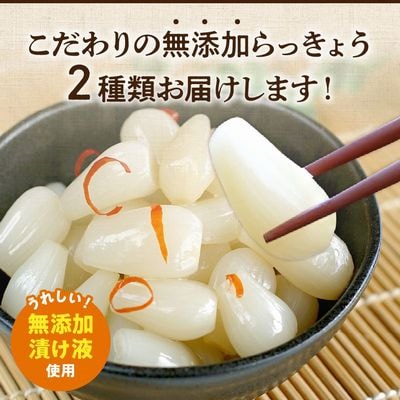 鹿児島県産砂丘らっきょう漬けセット