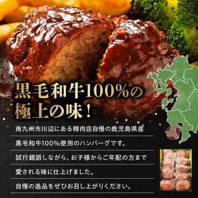 鹿児島県産黒毛和牛ハンバーグ10個 合計 1.5kg【配送不可地域：離島】