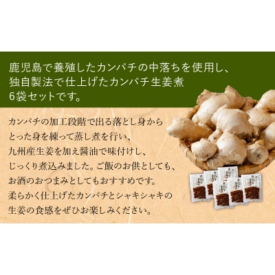 カンパチ生姜煮6袋セット