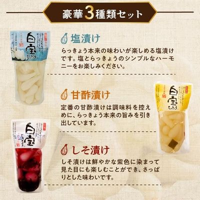 鹿児島県産砂丘らっきょうプレミアムセット