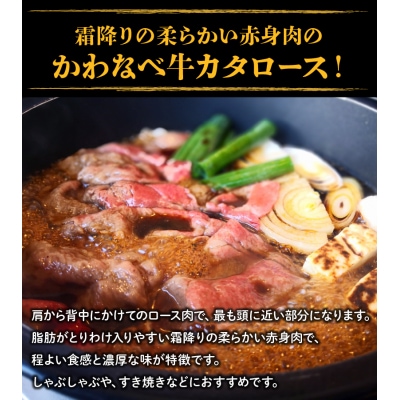 かわなべ牛カタロース450g【配送不可地域：離島】