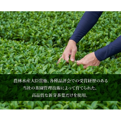 知覧深蒸し茶 かいもんみどり3本セット