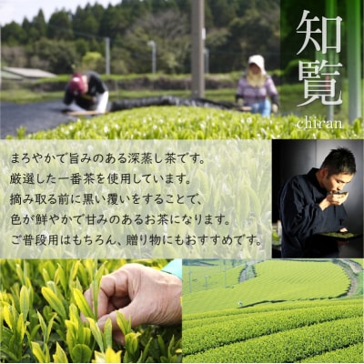 知覧茶深むし茶「知覧みどり」100g×5本箱