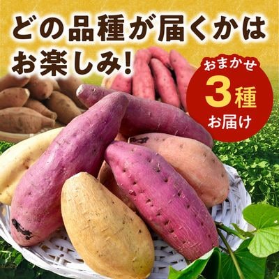 さつまいも3種おまかせ4kgセット
