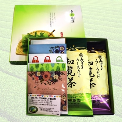 岳みどり上級深蒸茶とお手軽茶ドリップセット