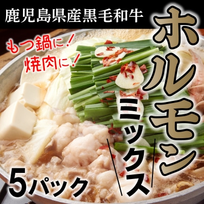 鹿児島県産黒毛和牛ホルモンミックス5パック【配送不可地域：離島】