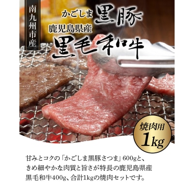 かごしま黒豚と鹿児島県産黒毛和牛焼肉用1kg【配送不可地域：離島】