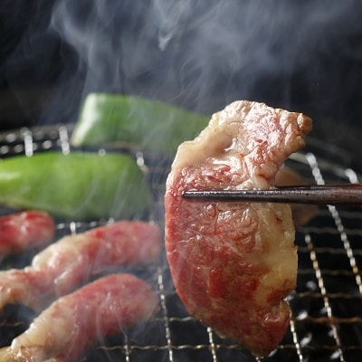 鹿児島県産 黒牛黒豚BBQセット650g【配送不可地域：離島】