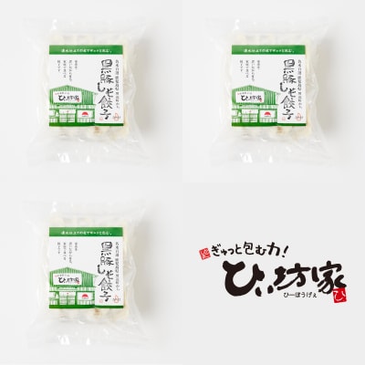 かごしま黒豚しそ餃子60個(タレ付)【配送不可地域：離島】