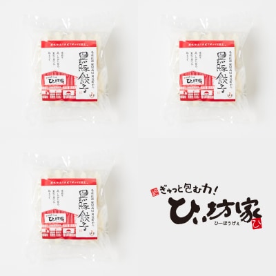 定番のかごしま黒豚餃子60個(タレ付)【配送不可地域：離島】