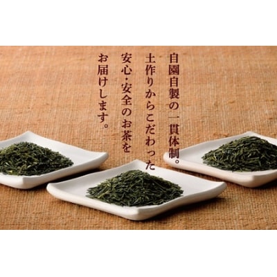 おりたの特別栽培知覧茶5本セット