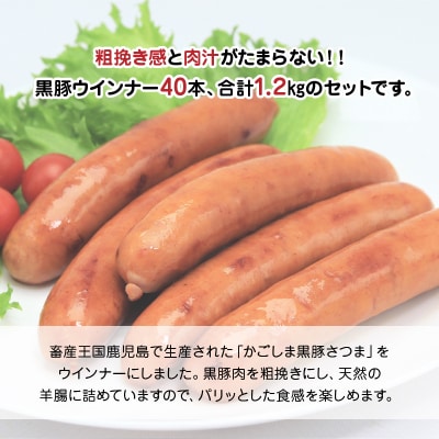 「かごしま黒豚さつま」ウィンナー1.2kg【配送不可地域：離島】