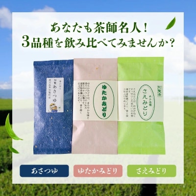 人気3品種知覧茶を贅沢に飲み比べ!
