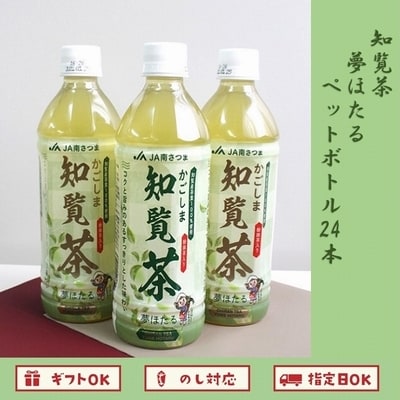 知覧茶夢ほたるペットボトル24本