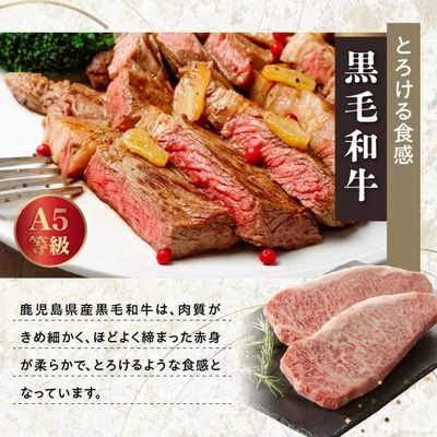 鹿児島県産黒毛和牛A5等級サーロイン4枚・鹿児島県産ウナギ2尾の贅沢セット【配送不可地域：離島】