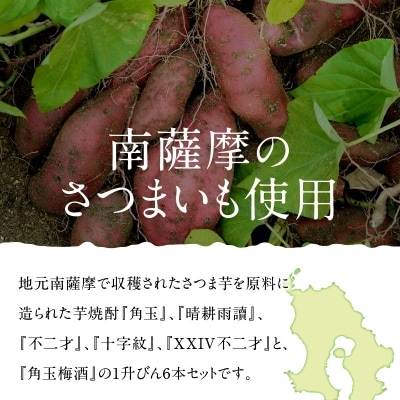 【佐多宗二商店】芋焼酎・梅酒まるごと1升びん 6本セット