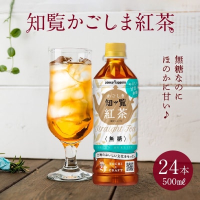 知覧かごしま紅茶 ペットボトル24本
