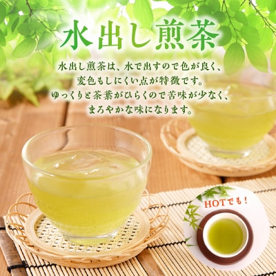 知覧茶 水出し煎茶 ティーバッグ