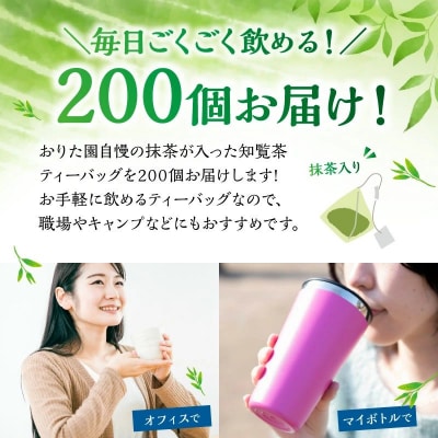 お徳用抹茶入知覧茶ティーバッグ100個入り2セット