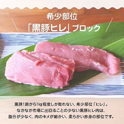 鹿児島県産黒豚ヒレブロック3本 約1.5kg【配送不可地域：離島】