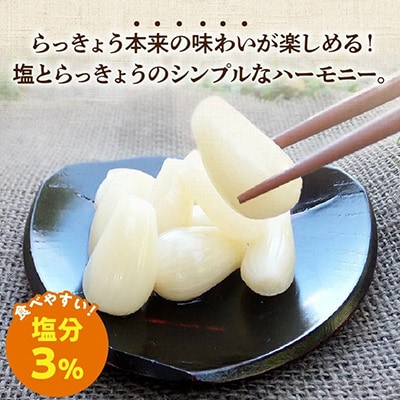 鹿児島県産砂丘らっきょう塩漬け1.8キロ【配送不可地域：離島】