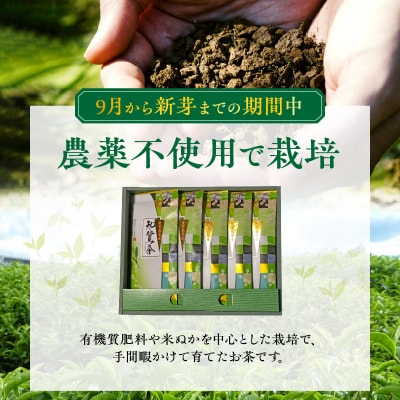知覧特上深蒸し茶5本セット