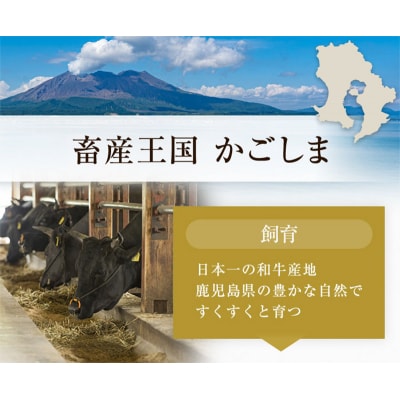 鹿児島黒毛和牛サーロインステーキ300g【配送不可地域：離島】