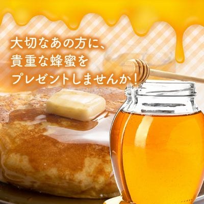 国産レンゲ蜂蜜600g