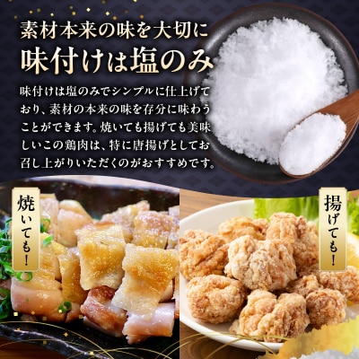 薩摩の恵み 一夜干し鶏1.2kg【配送不可地域：離島】