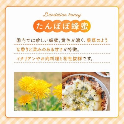 旅するはちみつ200g2本セット【たんぽぽ・蕎麦】