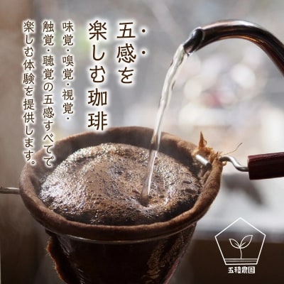 五稜珈琲100g×5ヶ国セット