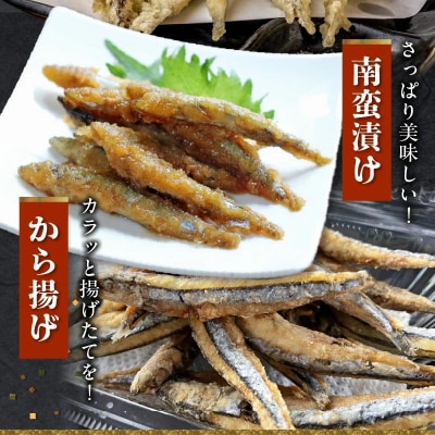 鹿児島県産キビナゴ1kg【配送不可地域：離島】