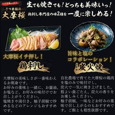 「さつま極鶏大摩桜」鶏刺し4P＆自家製炭火焼2Pセット【配送不可地域：離島】