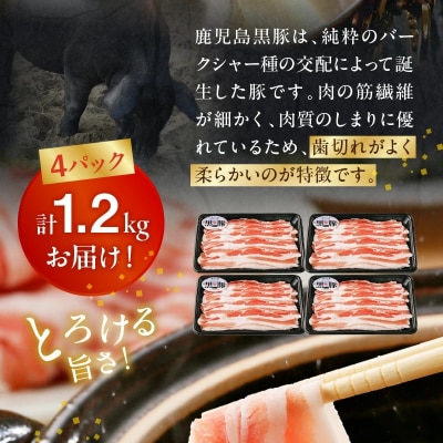 【2026年2月~4月お届け】鹿児島黒豚バラセット1.2kg【配送不可地域：離島】