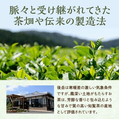心潤す光印の後岳知覧茶「霧若藤」「霧若草」やぶきた生茶セット