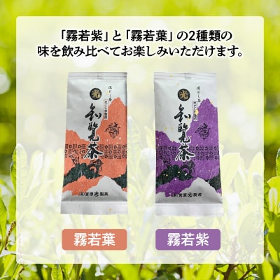 心潤す光印の知覧茶5本セット