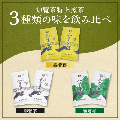 心潤す光印の後岳知覧茶6本とティーバッグの詰合せ