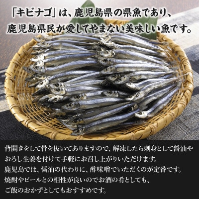 鹿児島産「キビナゴ」刺身用80尾 008-66【配送不可地域：離島】