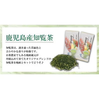 本格芋焼酎とお茶飲み比べCセット