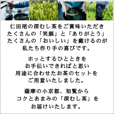 【令和8年産 新茶予約 自宅用】知覧茶園深むし茶 厳撰茶葉5本セット