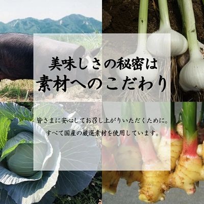 国産素材にこだわった鹿児島黒豚餃子120個【配送不可地域：離島】