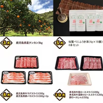 【発送月固定定期便】南九州トクトク定期便ライト全4回【配送不可地域：離島】