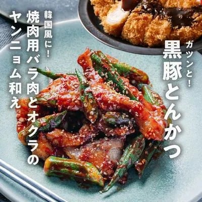 【発送月固定定期便】かごしま黒豚スライス定期便全12回【配送不可地域：離島】