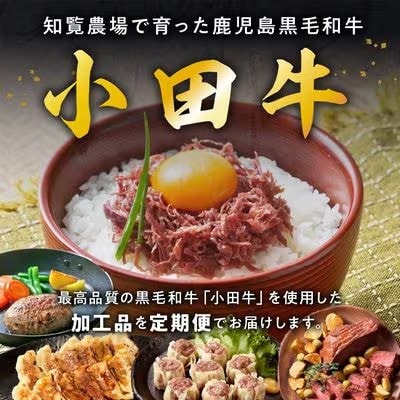 【毎月定期便】「小田牛」定期便～加工品づくし～全3回【配送不可地域：離島】
