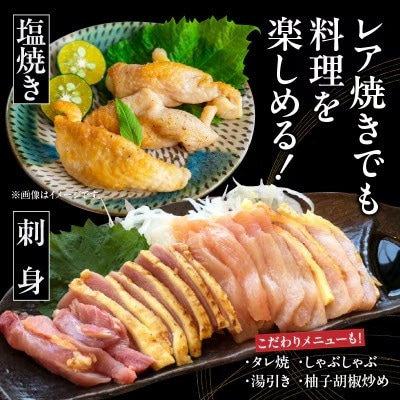 【毎月定期便】さつま極鶏大摩桜 刺身用ブロック全12回【配送不可地域：離島】