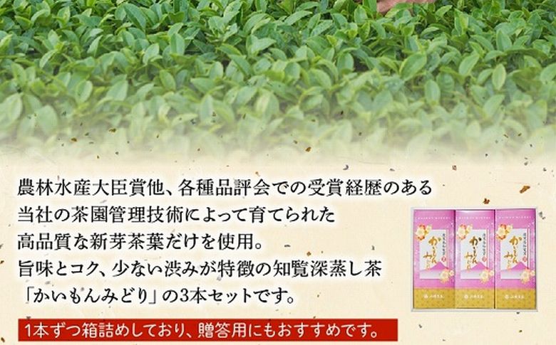 005-10 知覧深蒸し茶 かいもんみどり3本セット