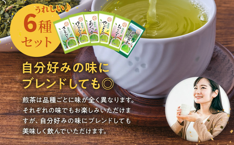007-30 6種を味わえる!知覧茶飲み比べセット